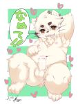  2018 3:4 anthro balls blush bodily_fluids censored cubshota cum fur genital_fluids genitals hi_res ineffective_censorship japanese_text male mammal nude penis signature sirotae_konnta slightly_chubby solo text translation_request white_body white_fur young 