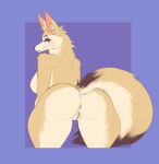  absurd_res anthro big_butt blush breasts butt canid canine female fennec fox fur genitals hi_res looking_at_viewer looking_back looking_back_at_viewer mammal multicolored_body multicolored_fur purple_background pussy sanfingulipunrapin simple_background solo 