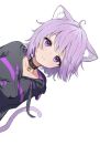  1girl ahoge animal_ear_fluff animal_ears bangs black_collar black_hoodie cat_ears cat_girl cat_tail closed_mouth collar eyebrows_visible_through_hair hololive hood hoodie looking_at_viewer nekomata_okayu purple_eyes purple_hair ruka_tou short_hair simple_background smile solo tail upper_body virtual_youtuber white_background 