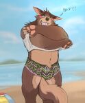  anthro beach blush brown_body brown_fur bulge canid canine canis clothing domestic_dog fangs fur green_eyes hi_res male mammal navel oriont seaside solo underwear undressing 