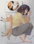  1girl back-to-back bangs barefoot bed_sheet brown_hair calico cat closed_eyes dog from_above grey_pants lying mattaku_mousuke midriff_peek on_bed on_side original pants pillow shiba_inu shirt short_hair sleeping soles solo toes twitter_username yellow_shirt 