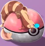  ambiguous_gender brown_body brown_fur eyes_closed feral fur furret hi_res nintendo open_mouth pok&eacute;ball pok&eacute;mon pok&eacute;mon_(species) purple_background shadow signature simple_background sleeping solo thewizardstick video_games 