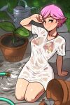  1girl akairiot animal_crossing arm_support bangs bare_legs bikini bikini_under_clothes blush breasts brown_eyes closed_mouth collarbone eyebrows_visible_through_hair floral_print highres hose looking_at_viewer medium_breasts pink_hair plant pot potted_plant see-through seiza shirt short_hair sitting smile solo super_smash_bros. swept_bangs swimsuit tsurime villager_(animal_crossing) water wet wet_clothes wet_shirt wiping_forehead 