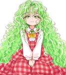  1girl ascot bow brooch dress eyebrows_visible_through_hair green_eyes green_hair highres jewelry kazami_yuuka kazami_yuuka_(pc-98) long_hair long_sleeves plaid plaid_skirt plaid_vest s-a-murai shirt skirt smile solo touhou touhou_(pc-98) vest wavy_hair white_shirt 