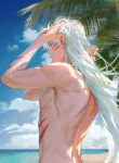  1boy arms_up beach blue_sky body_markings day facial_mark from_behind hands_in_hair highres horizon inuyasha lens_flare long_hair male_focus mmmilk outdoors palm_tree pectorals pointy_ears sesshoumaru sidepec signature sky solo toned toned_male topless_male tree twitter_username white_hair yellow_eyes 
