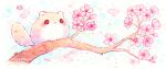  :3 animal animal_focus artist_name bisquii branch cherry_blossoms chibi closed_mouth english_commentary flower flying_squirrel no_humans original painting_(medium) pink_flower red_eyes squirrel traditional_media watercolor_(medium) 