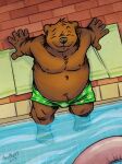  2019 anthro belly big_belly black_nose clothing detailed_background eyes_closed hi_res k-9 male mammal moobs nipples outside overweight overweight_male sitting solo swimming_pool swimwear ursid water 