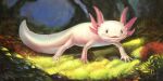  2021 2:1 amphibian axolotl detailed_background enayaray feral hi_res mole_salamander outside pink_body quadruped salamander_(amphibian) smile solo 
