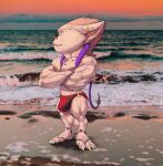  2022 absurd_res alternate_version_at_source anthro beach belly biceps big_biceps big_brachioradialis big_bulge big_deltoids big_extensor_carpi big_flexor_carpi big_muscles big_pecs big_quads big_sternocleidomastoid big_trapezius big_triceps black_lens blue_eyes blue_sky bottomwear bottomwear_ring brachioradialis braided_mane braided_pseudo_hair bristol bulge butt cigarette cigarette_in_mouth claws closed_smile clothed clothing clothing_ring colored dark_footwear dark_glasses dark_lens dark_sandals deltoids digital_drawing_(artwork) digital_media_(artwork) ear_barbell ear_piercing extensor_carpi eyebrows eyewear fan_character flexor_carpi footwear full-length_portrait fur glasses gold_(metal) gold_barbell gold_glasses gold_jewelry gold_necklace gold_piercing gold_ring gradient_sky green_bottomwear green_clothing green_speedo green_swimwear grey_clothing grey_footwear grey_sandals half-closed_eyes happy hi_res horizon huge_biceps huge_brachioradialis huge_deltoids huge_extensor_carpi huge_flexor_carpi huge_muscles huge_pecs huge_quads huge_sternocleidomastoid huge_triceps jewelry league_of_legends light light_arms light_belly light_butt light_chest light_claws light_ears light_eyebrows light_eyelids light_feet light_hands light_inner_ear light_jewelry light_mane light_neck light_nipples light_nose light_pseudo_hair light_ring light_toes long_mane long_pseudo_hair looking_away male mammal mane manly multicolored_bottomwear multicolored_clothing multicolored_jewelry multicolored_necklace multicolored_speedo multicolored_swimwear muscular muscular_anthro muscular_male narrowed_eyes navel necklace nipples obliques orange_sky outside pecs photo_background piercing pink_inner_ear pink_nipples pink_nose plantigrade portrait pseudo_hair purple_bottomwear purple_clothing purple_jewelry purple_necklace purple_speedo purple_swimwear quads red_bottomwear red_clothing red_speedo red_swimwear riot_games round_glasses sand sandals sea seaside shaded shadow shoreline short short_anthro short_male sky solo speedo speedo_ring standing sternocleidomastoid sunlight sunset swimwear swimwear_ring tan_body tan_fur tan_mane tan_pseudo_hair three-quarter_view topless topless_anthro topless_male trapezius triceps two_tone_jewelry two_tone_necklace two_tone_sky video_games water wave wearing_glasses white_arms white_belly white_body white_butt white_chest white_claws white_ears white_eyebrows white_eyelids white_face white_feet white_fur white_hands white_neck white_pseudo_hair white_toes yordle 