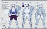  absurd_res anthro armor athletic athletic_gynomorph athletic_intersex balls barefoot big_balls big_breasts big_penis bottomwear bra bracers breasts chart clothing cum_container erection fangs feet felid flaccid fur genitals grey_body grey_fur gynomorph hair height_chart hi_res intersex lapinbeau mammal model_sheet pantherine penis ponytail purple_eyes rikki_landon shorts silver_hair snow_leopard solo sports_bra sportswear underwear 