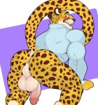  anthro anus balls biceps big_butt big_tail blue_eyes blush butt cheetah clenched_teeth clothed clothing digital_media_(artwork) embarrassed felid feline fur genitals herzch1 hi_res humanoid_genitalia humanoid_penis looking_back male mammal markings muscular muscular_anthro muscular_male neck_tuft nude open_mouth pantsless penis presenting presenting_hindquarters randy_d_raccoon rear_view shirt simple_background solo solo_focus spots spotted_body spotted_fur spotted_markings spotted_tail spread_butt spreading tail_markings teeth teeth_showing thick_thighs topwear tuft yellow_body 