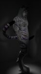  absurd_res anthro black_penis domestic_cat erection felid feline felis genitals hi_res male mammal nude pantherine penis pinup pose sakuri_rainne solo stripes tiger 