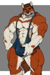  2022 5_fingers anthro big_bulge big_muscles brown_eyes brown_hair bulge canid canine clothing dhole fingers footwear fur hair hi_res huge_muscles humanoid_hands looking_at_viewer male mammal multicolored_body multicolored_fur muscular muscular_anthro muscular_male nipples oldshep pink_nipples red_body red_fur simple_background socks solo standing two_tone_body two_tone_fur white_body white_fur wrestling_singlet yellow_sclera 