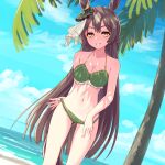  animal_ears beach bikini blush breasts brown_hair cleavage collarbone commentary_request grin hair_between_eyes highres horse_ears horse_girl horse_tail looking_at_viewer medium_breasts navel ocean palm_tree satono_diamond_(umamusume) sky smile special_cat swimsuit tail tree umamusume yellow_eyes 