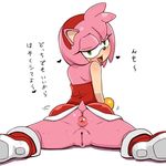  1girl amy_rose anus ass blush butt female furry green_eyes japanese_text looking_at_viewer looking_back nezumi plain_background puffy_anus pussy sega simple_background solo sonic_(series) sonic_the_hedgehog spread_legs sweat tail tamagoro tamagoroo_(funifuni_labo) text translated translation_request uncensored white_background 