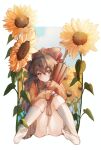  1girl artist_request bow brown_hair closed_mouth cloud flower full_body green_eyes hair_bow long_hair looking_at_viewer orange_shirt panties ponytail scryed shirt skirt solo sunflower thighhighs underwear white_panties yuuta_kanami 
