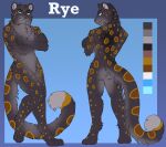  2022 anthro big_tail biped black_body black_fur black_hair blue_eyes character_name colored crossed_arms crotch_tuft digital_media_(artwork) digitigrade english_text eyebrows featureless_crotch felid feline felis front_view fur fur_markings grey_body grey_fur grin hair head_turned hi_res humanoid_hands inner_ear_fluff ketzel99 leaning leaning_back long_tail male mammal markings model_sheet multicolored_body multicolored_fur neck_tuft nude orange_body orange_fur pantherine rear_view rye_(loaf) shaded simple_background smile snow_leopard solo spots standing tail_markings text thick_tail tuft yellow_body yellow_fur 