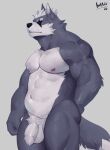  2022 abs anthro balls canid canine canis flaccid foreskin fur genitals grey_body grey_fur hi_res hittoga male mammal muscular muscular_anthro muscular_male nintendo nipples pecs penis scar simple_background solo star_fox video_games wolf wolf_o&#039;donnell 
