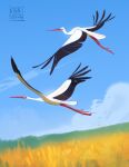  2022 absurdres artist_name bird blue_sky commentary field flying highres no_humans original outdoors sky stasya-sher stork ukrainian_commentary 