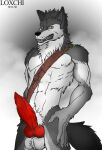  abs accessory anthro biceps big_penis canid canine canis clothed clothing erection fur genitals hair knot loxchi male mammal muscular muscular_anthro muscular_male nipples partially_clothed penis pinup pose simple_background solo teasing teeth topless underwear vein wolf 