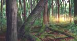  branch bush commentary_request forest grass hakuurei_amano highres nature no_humans original outdoors scenery tree watermark 
