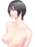  1girl black_hair breasts collarbone large_breasts nipples original parted_lips purple_eyes short_hair shu-mai simple_background smile solo upper_body white_background 
