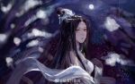  1girl black_hair branch facial_mark forehead_mark hair_knot hair_ornament highres ling_qingzhu_(wu_dong_qian_kun) ling_qingzhu_zhuye long_hair looking_at_viewer moon night solo upper_body wu_dong_qian_kun 