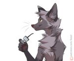  2022 5_fingers anthro canid canine digital_media_(artwork) fingers fox fur grey_body grey_fur koul male mammal orange_eyes simple_background smile solo white_background 