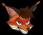  anthro canid canine fox headshot_portrait male mammal portrait smile solo thux-ei 