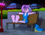  absurd_res anthro barefoot bench blue_clothing boots clothed clothing discarded_shoes dragon feet female foot_focus footwear freedom_planet hair hedge hi_res horn hybrid mammal mecha417 night night_sky outside purple_body purple_hair red_eyes sash_lilac sitting_on_bench solo video_games whistling 