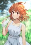  1girl bangs bare_arms bottle bow brown_eyes brown_hair collarbone dress floating_hair grass highres holding holding_bottle isshiki_iroha kashiiyou medium_hair open_mouth outdoors shiny shiny_hair sleeveless sleeveless_dress solo standing sundress water_bottle white_bow white_dress yahari_ore_no_seishun_lovecome_wa_machigatteiru. 