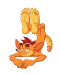  5_fingers 5_toes activision anthro bandicoot bedroom_eyes big_penis butt crash_bandicoot crash_bandicoot_(series) erection eyebrows feet fingers foot_focus front_view fur genitals green_eyes hair hi_res huge_penis legs_up looking_at_viewer male mammal marsupial mouse_feets narrowed_eyes nude on_chest orange_body orange_fur penis red_hair seductive simple_background smile smirk solo thick_eyebrows toes vein veiny_penis video_games 