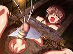  bad_end bdsm bondage bound breasts brown_hair censored cum ejaculation fujii_kazuha futanari guillotine guro large_breasts mosaic_censoring nipples no_testicles penis pussy rope ryou_hime_2 solo whip_marks 