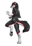  anthro artist_collaboration black_body black_fur black_pawpads blackie_wolf canid canine canis felfi fur hi_res male mammal pawpads red_body red_fur rogueliger solo white_body white_fur wolf 