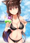  1girl absurdres animal_ear_fluff animal_ears bangs beach bikini black_bikini black_hair blush braid breasts cleavage cloud cloudy_sky cocktail_glass collarbone commentary cup day drinking_glass earrings eyebrows_visible_through_hair fox_ears fox_girl fox_tail hair_between_eyes highres holding holding_cup hololive jewelry kurokami_fubuki long_hair looking_at_viewer medium_breasts navel ocean outdoors pentagram red_eyes sidelocks single_braid sky solo swimsuit tail virtual_youtuber zacky 