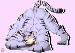 absurd_res anthro felid hi_res jack-o&#039;_pose kuma_richards male mammal muscular pantherine pose sleeping solo stretching tiger trend 
