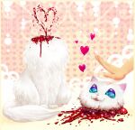  &lt;3 &lt;3_eyes 2014 :3 blood blood_heart blue_eyes bodily_fluids cute_eyes decapitation digital_media_(artwork) domestic_cat felid feline felis feral fur gore headless heart_catchlight heart_formation heart_reaction heart_stream kisuette mammal simple_background sitting solo white_body white_fur 