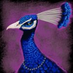  1:1 ambiguous_gender avian beak bird blue_body blue_feathers digital_media_(artwork) digital_painting_(artwork) einin feathers feral galliform hi_res jewelry looking_back necklace peafowl phasianid plumage portrait purple_background signature simple_background solo white_beak yellow_eyes 