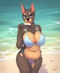  anthro beach belly big_breasts bikini breasts canid canine canis chubby_belly chubby_female cleavage clothed clothing curvy_figure digital_media_(artwork) dobermann domestic_dog female heatynn mammal navel outside pinscher sand seaside soft_belly solo swimwear tenynn thick_thighs voluptuous wide_hips 