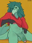  anthro avian balls beak bird clothed clothing erection feathers genitals hair hi_res looking_at_viewer male penis ravan simple_background solo topwear 