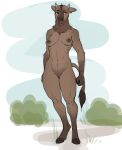  anthro bison bovid bovine breasts female fingers fist genitals gewitter grass hi_res hooves horn humanoid_hands mammal nipples nude outside plant pussy solo yellow_eyes 