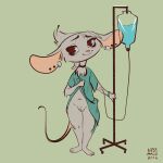  2016 anthro arsemaus big_ears clothed clothing clothing_lift ear_piercing female full-length_portrait fur genitals green_background grey_body grey_fur hi_res hospital_gown ill_jill intravenous intravenous_drip looking_at_viewer mammal mouse murid murine partially_clothed piercing portrait presenting presenting_pussy pussy rodent simple_background smile solo standing 