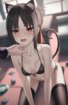  1boy 1girl animal_ears ball bangs bare_shoulders bikini black_bikini black_hair black_legwear blurry blurry_background blush breasts cat_ears cat_tail cat_teaser collarbone fang folded_ponytail food_bowl full-face_blush hair_ribbon hand_on_another&#039;s_chin highres kaguya-sama_wa_kokurasetai_~tensai-tachi_no_renai_zunousen~ marinesnow open_mouth out_of_frame red_eyes red_ribbon ribbon shinomiya_kaguya shirogane_miyuki side-tie_bikini sidelocks small_breasts solo_focus stroking_another&#039;s_chin sweat swimsuit tail thighhighs 