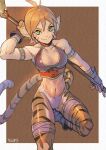  1girl animal_ears breasts breath_of_fire breath_of_fire_ii bustier cat_ears cat_tail closed_mouth facial_mark gloves green_eyes highres looking_at_viewer nanpou_(nanpou0021) orange_hair pointy_ears rinpoo_chuan short_hair simple_background smile solo staff tail 