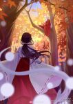  1boy 1girl absurdres animal_ears back black_hair blurry blurry_background dog_ears feet forest highres inuyasha inuyasha_(character) jiegeng_zhuye kikyou_(inuyasha) leaf light long_hair maple_leaf nature sitting spirit tree white_hair 