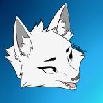  ambiguous_gender anthro black_and_white blue_and_white canid canine canis colored digital_drawing_(artwork) digital_media_(artwork) firstletterj fur hi_res mammal monochrome signature simple_background sketch smile solo tongue wolf 