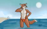  anthro beach canid canine commercial foreskin fox fur garo_(artist) genitals hand_on_hip henry_(old_speckled_hen) hi_res humanoid_genitalia humanoid_penis looking_at_viewer male mammal muscular muscular_male nudist orange_body penis sea seaside solo water 