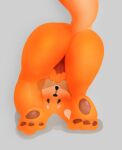  anthro black_eyes canid canine female feral fingering fox foxtrot foxtrot_(copyright) foxy_(foxtrot) genitals grey_background hi_res lineless mammal orange_body paws pussy simple_background solo spread_pussy spreading unknownhornyartist white_body 