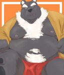  2022 anthro asian_clothing belly big_belly black_body black_nose clothing east_asian_clothing fundoshi hi_res humanoid_hands japanese_clothing kemono male mammal moobs navel nipples o_miso_n overweight overweight_male red_clothing red_fundoshi red_underwear simple_background sitting solo underwear ursid white_body 