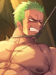  1boy alternate_pectoral_size anger_vein bara blush cropped frown green_hair highres large_pectorals long_sideburns looking_at_viewer male_focus muscular muscular_male nipples nude one_piece pectorals rope roronoa_zoro scar scar_across_eye short_hair sideburns solo stitches sweat veins veiny_arms waku_(ayamix) 